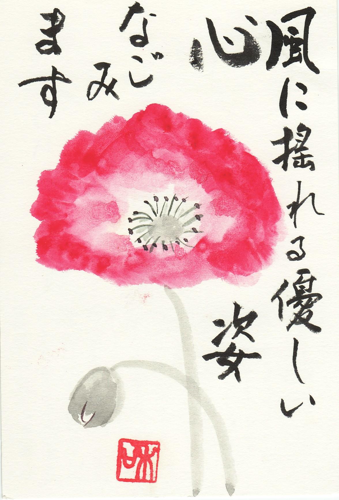 ひなげし.jpg