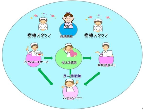 新人看護師への支援体制のイラスト