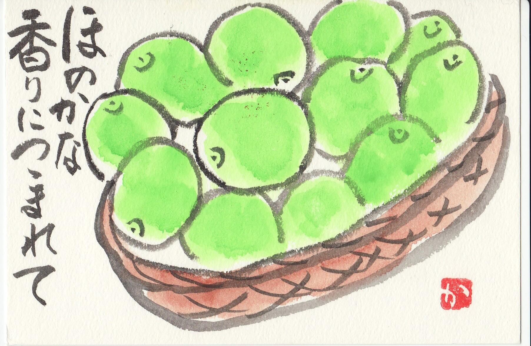 かごの.jpg